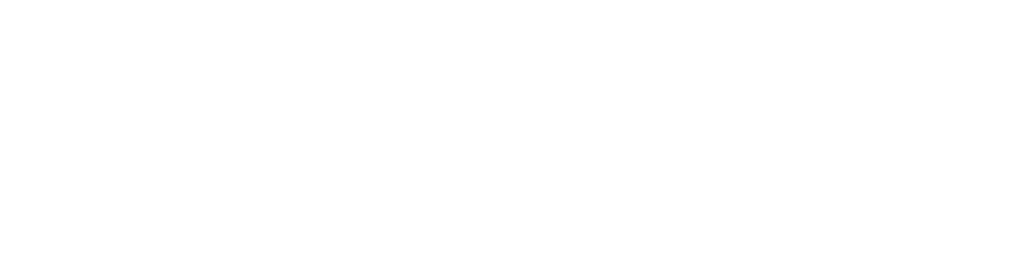 Leader